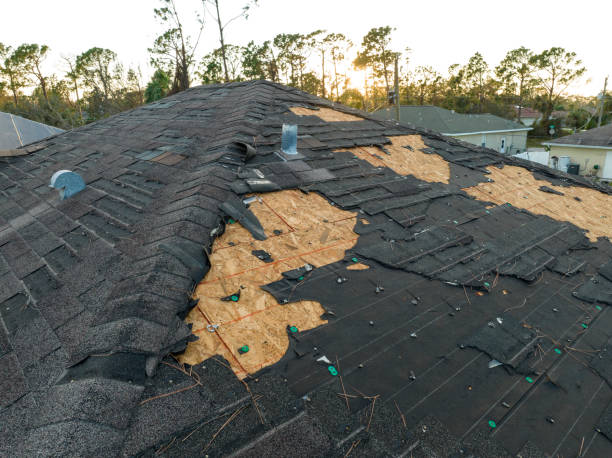 Best Roof Ventilation Installation  in Joshua, TX